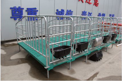 為什么要使用母豬定位欄？