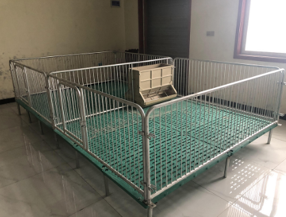 母豬定位欄的隔板和后門(mén)有什么作用？